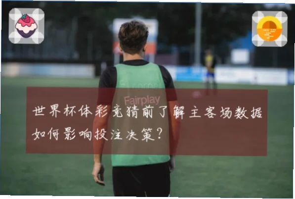 竞彩网网页版赔率更新速度影响投注决策