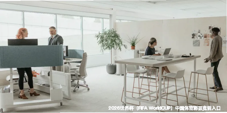 深耕体育数据十年，专业团队守护每一次预判